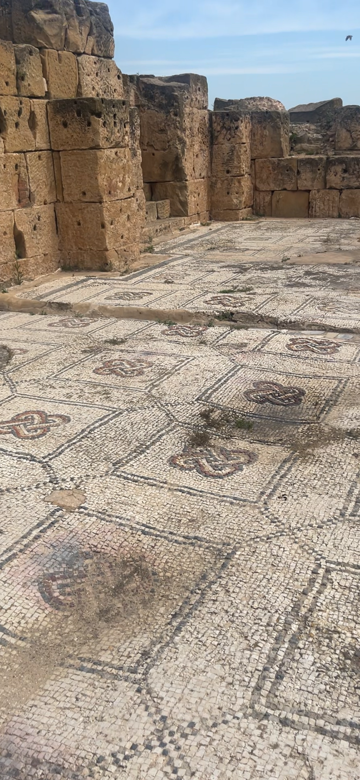 Sherpa Cozy Blanket // Mosaic Floor to Jupiter // Tunisia Rome Oudna - Image 4